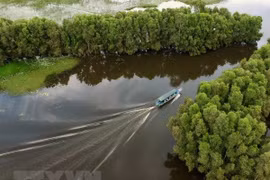 Forum promotes green tourism in Vietnam
