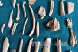 Many artefacts unearthed in Lang Son province