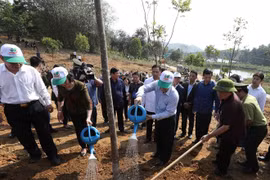 Party, State leader launches Tet tree planting festival in Yen Bai