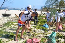 150 young Vietnamese expats join 2019 summer camp