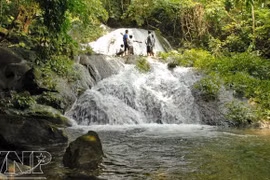 Xuan Son National Park develops community tourism