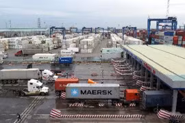 HCM City could become logistics workforce training hub: experts