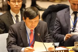 Vietnam joins call for UNSC’s action to deal with climate change 