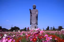 Ibaraki prefecture hopes for direct air route to Vietnam