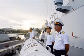 Defence ties important to Vietnam-Russia partnership: ambassador 