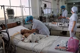 Southern localities see increase in dengue fever patients