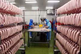 FDI into Vietnam falls 13.4 percent in seven months