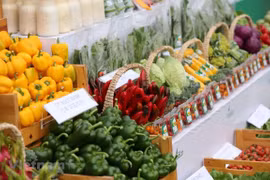 CPI in October shows three-year high rise