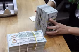 Reference exchange rate revised down on July 31