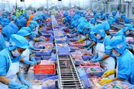 CPTPP to enable Vietnam to accelerate reforms