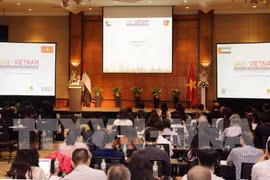 Vietnam, UAE seek to expand trade, investment links