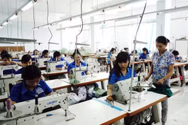Cooperation in vocational training remains loose