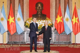 Vietnam, Argentina to work towards strategic partnership