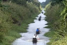 Ca Mau takes steps towards tourism expansion