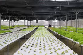 Climate-smart agriculture key to economic growth
