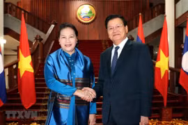 Vietnamese top legislator meets Lao Prime Minister 