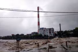 Storm Wipha lands in Quang Ninh, weakens to tropical depression