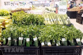 Ninh Binh says no to plastic bags
