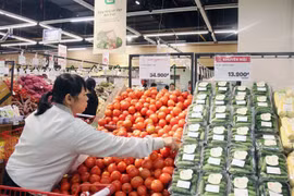 Retail sales rise on strong domestic demand