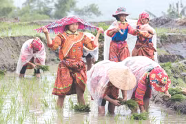 Ha Giang's remote commune to develop eco-toursim