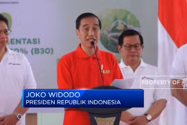 Indonesian President kicks off use of B30 biodiesel 
