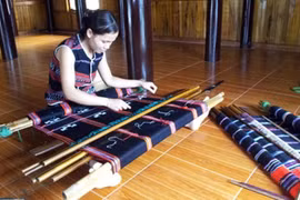 Festival brings Hue traditional craft products to the world