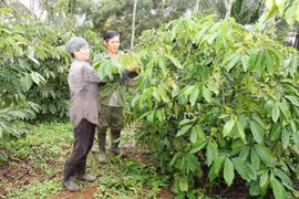 Social policy credit proves useful for poverty reduction: meeting