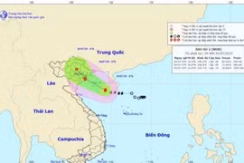 Quang Ninh bans vessels from sailing offshore ahead of typhoon