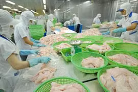 Vietnam's tra fish exports to UK up almost 70 percent in value