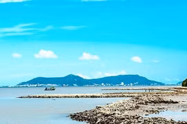 HCM City proposes expansion of Can Gio coastal tourist site