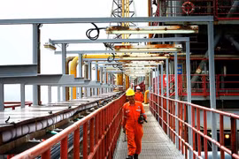 PetroVietnam in need of investment capital