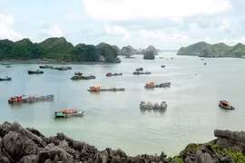 2018 – Successful year for Vietnam’s tourism industry