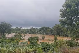 Heavy rains cause 5 deaths in Dak Nong province 