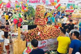 Binh Thuan’s dragon fruits promoted in Hanoi