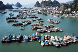 Van Don economic zone management board established