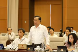 Decree on customs procedures for goods in transit needed: lawmakers