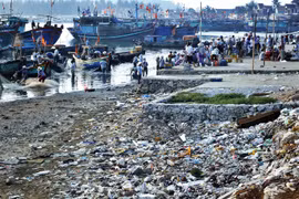 Marine plastic pollution requires international cooperation