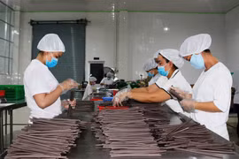 VN-made, eco-friendly straws popular with importers