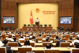 Legislators discuss draft laws on promulgation of legal documents, youths