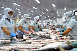 Tra fish exports to Southeast Asia rise 14.6 percent