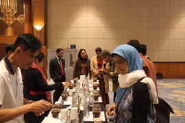 Vietnam promotes tourism in Indonesia 