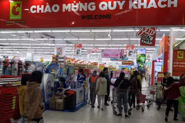Foreign retailers pose pressure on domestic firms