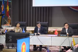 Vietnam ready for ASEAN Chairmanship Year 2020: ambassador 