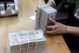 Reference exchange rate continues to go down 