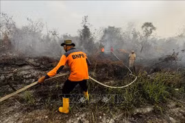 Indonesia: Over 39,000 people affected by haze smoke 