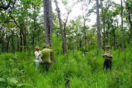 State-owned agriculture, forestry farm land needs stricter control