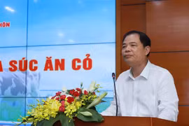 Vietnam enjoys advantages for raising grass-fed cattle
