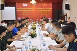 Vietnam, Singapore young officers foster exchange 