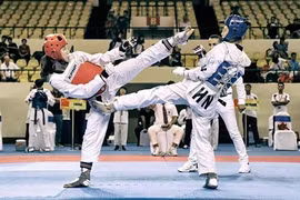 Vietnam win 35 golds at Asian Open Taekwondo Championship