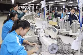 Dong Nai lures 52.4 million USD in FDI in January